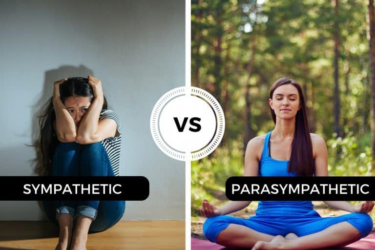 Sympathetic vs Parasympathetic An easy way to remember the difference